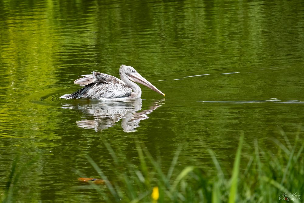 Spieglein, Spieglein...