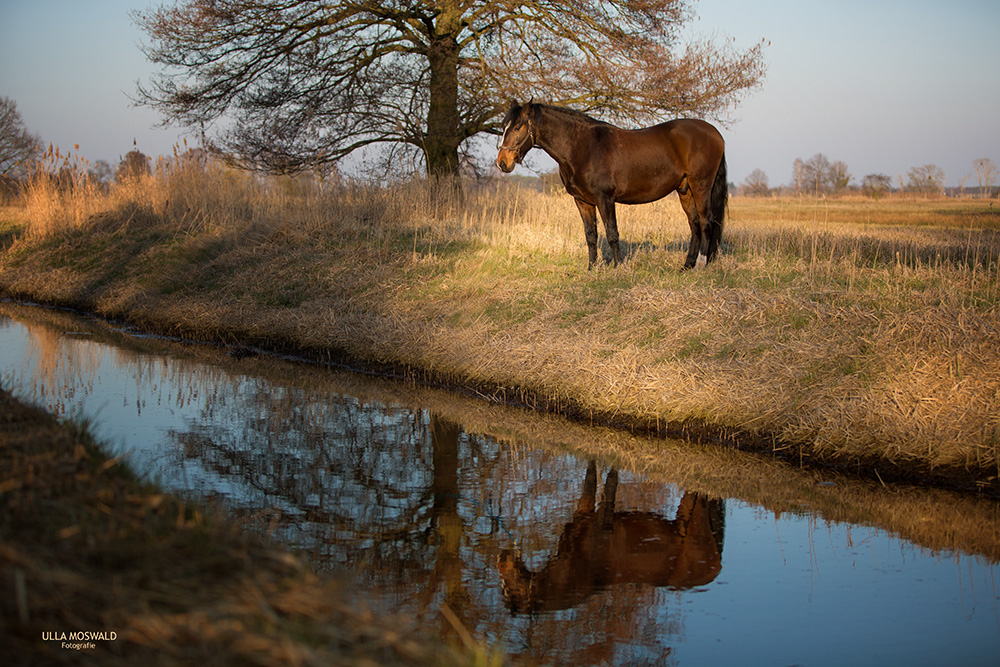 ...Spieglein, Spieglein...