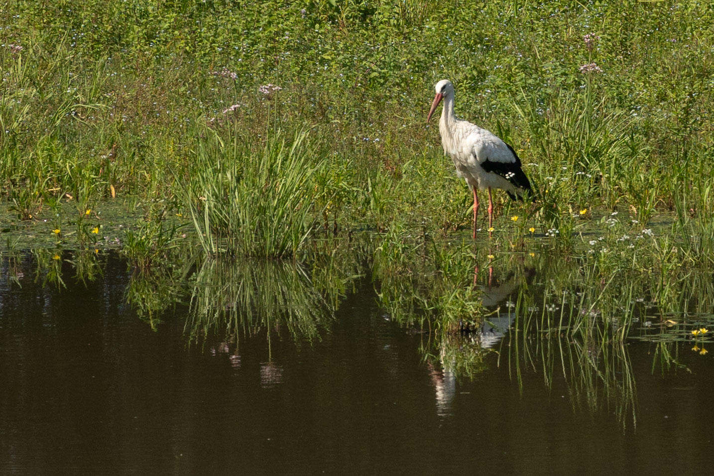 Spieglein Spieglein ...