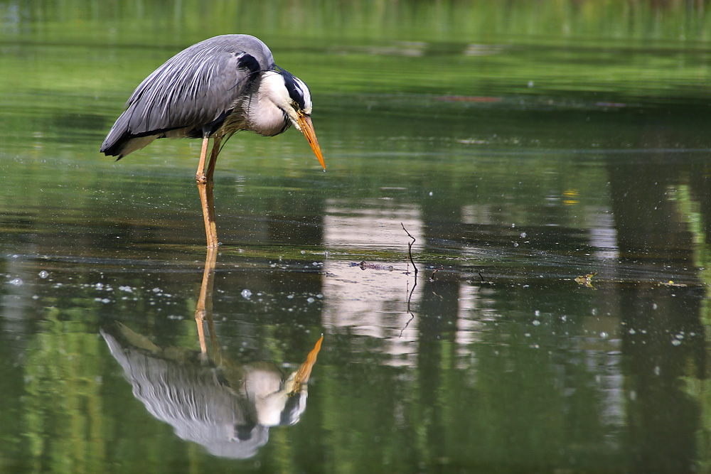 Spieglein, Spieglein........