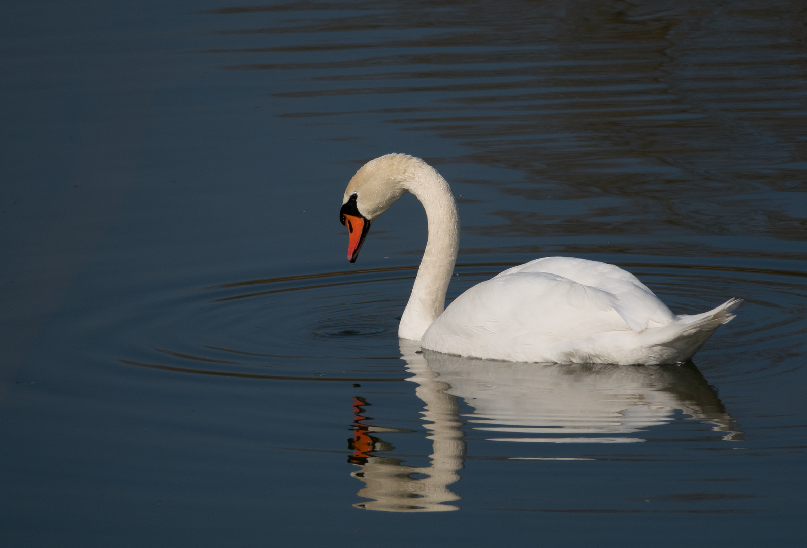 Spieglein, Spieglein....