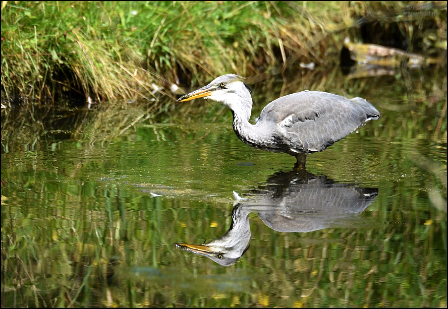 Spieglein; Spieglein...