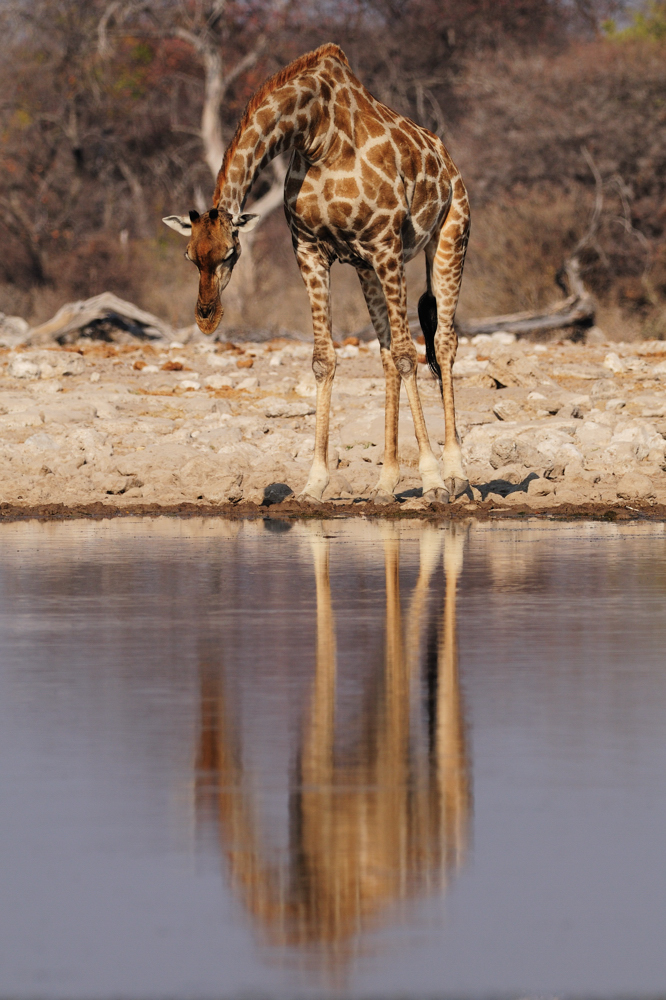 Spieglein, Spieglein....