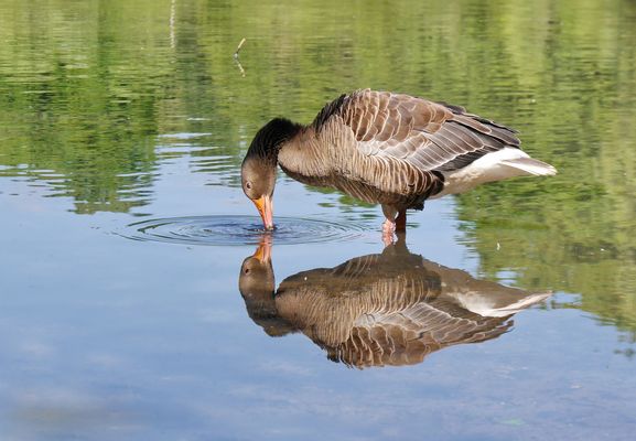 Spieglein, spieglein .....