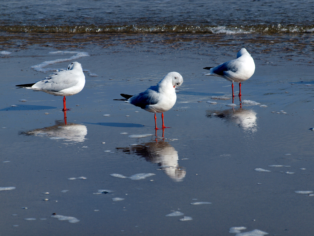 Spieglein, Spieglein ......