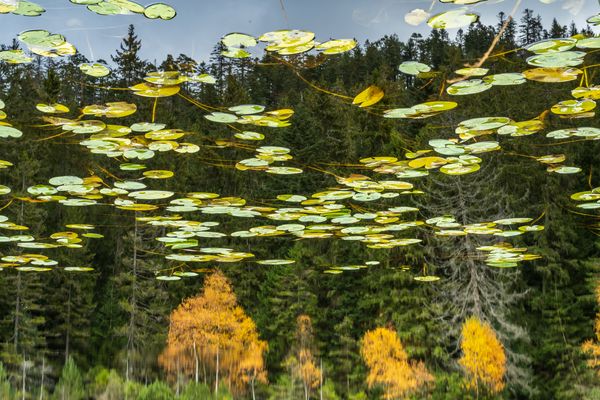 Spieglein, Spieglein