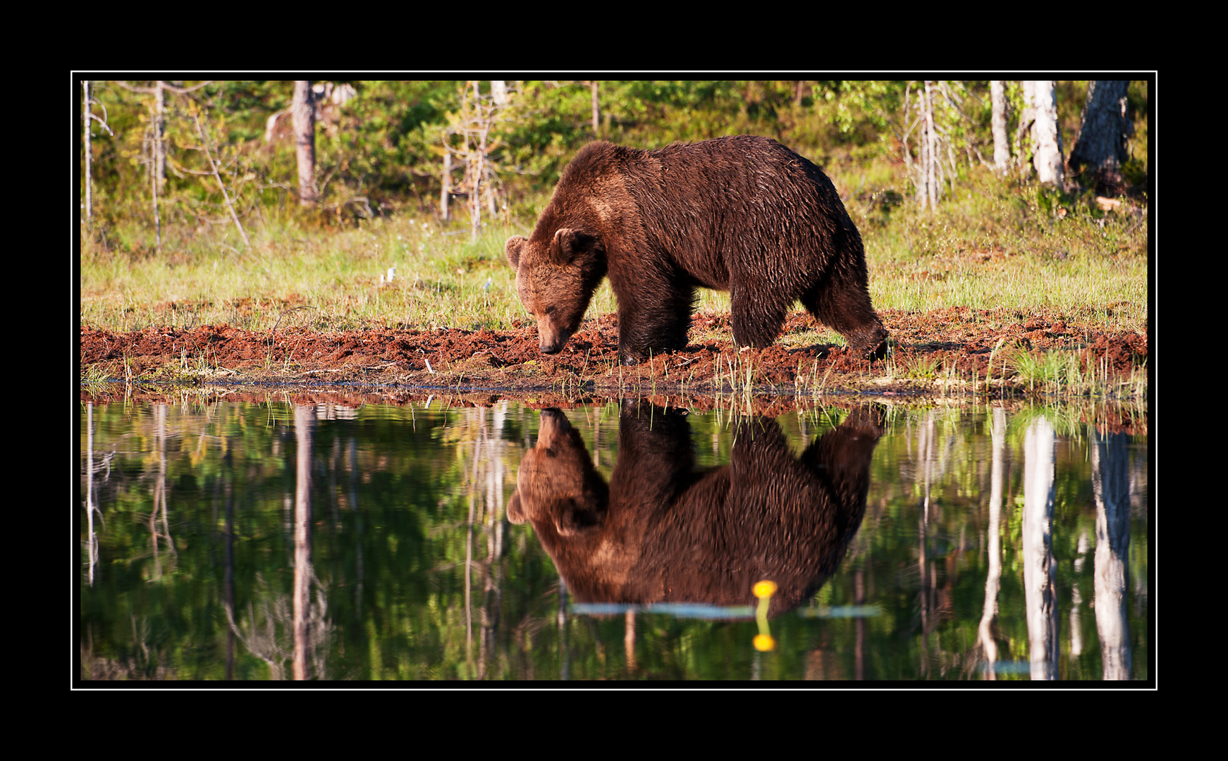 Spieglein, Spieglein...