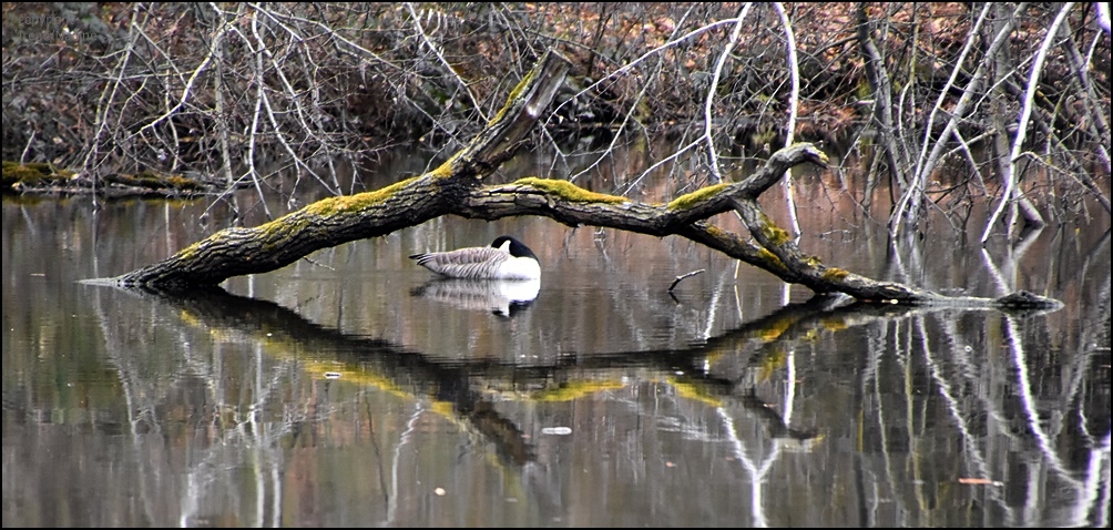 Spieglein; Spieglein...