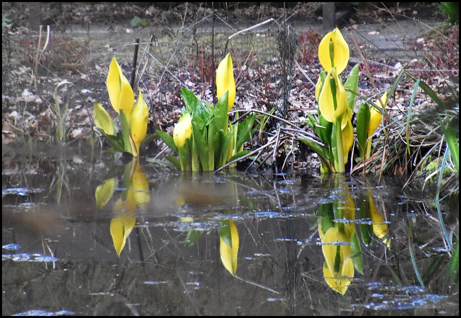 Spieglein; Spieglein...