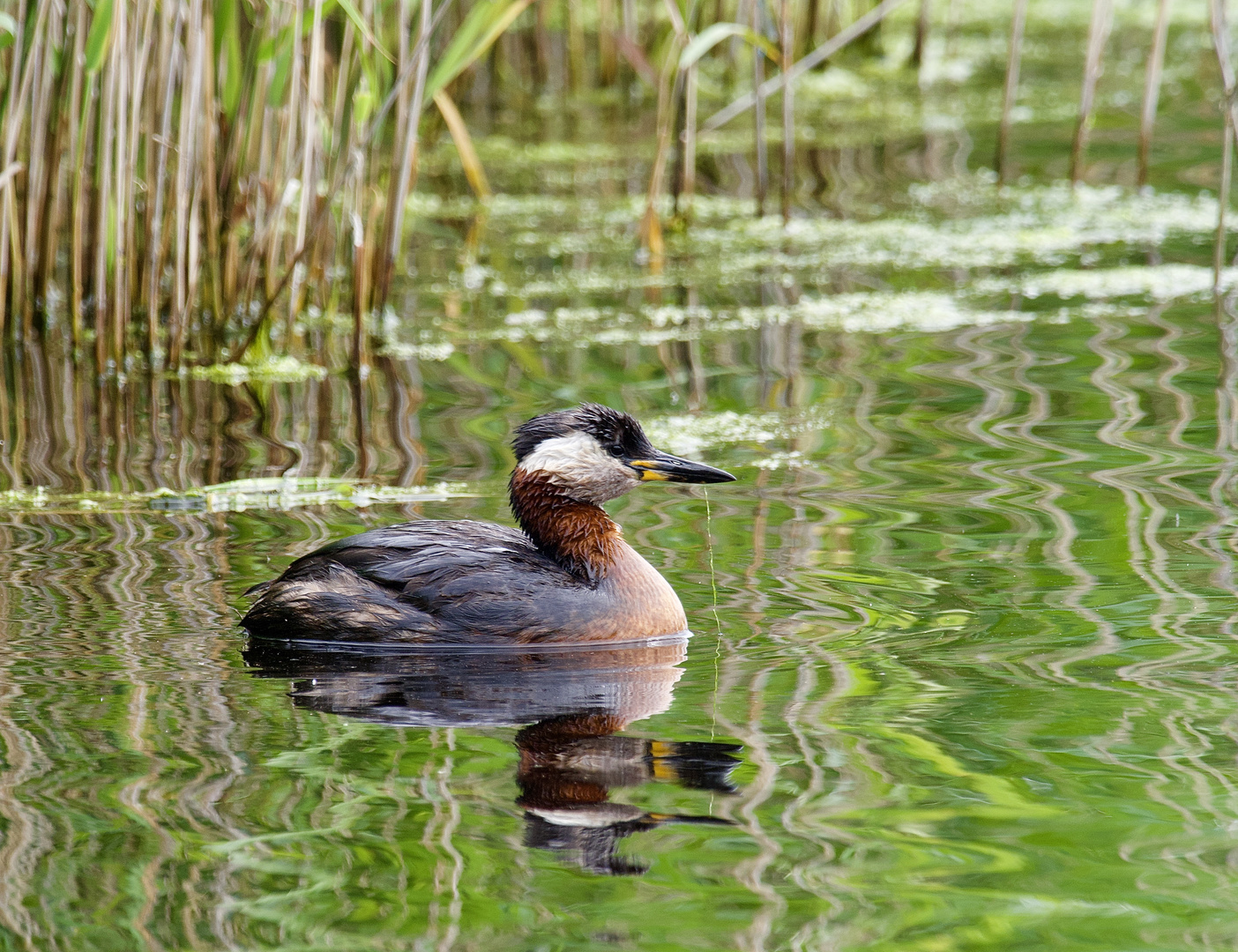 Spieglein, Spieglein,.....