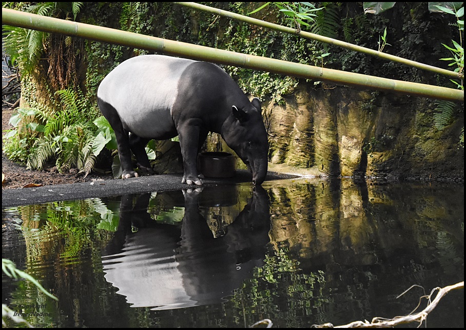 Spieglein; Spieglein...