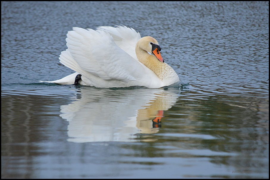 Spieglein; Spieglein...