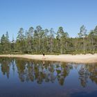 Spieglein, Spieglein an dem Strand....