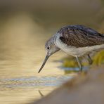 Spieglein, Spieglein an der Wand... 