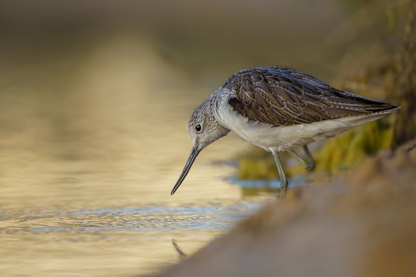 Spieglein, Spieglein an der Wand... 