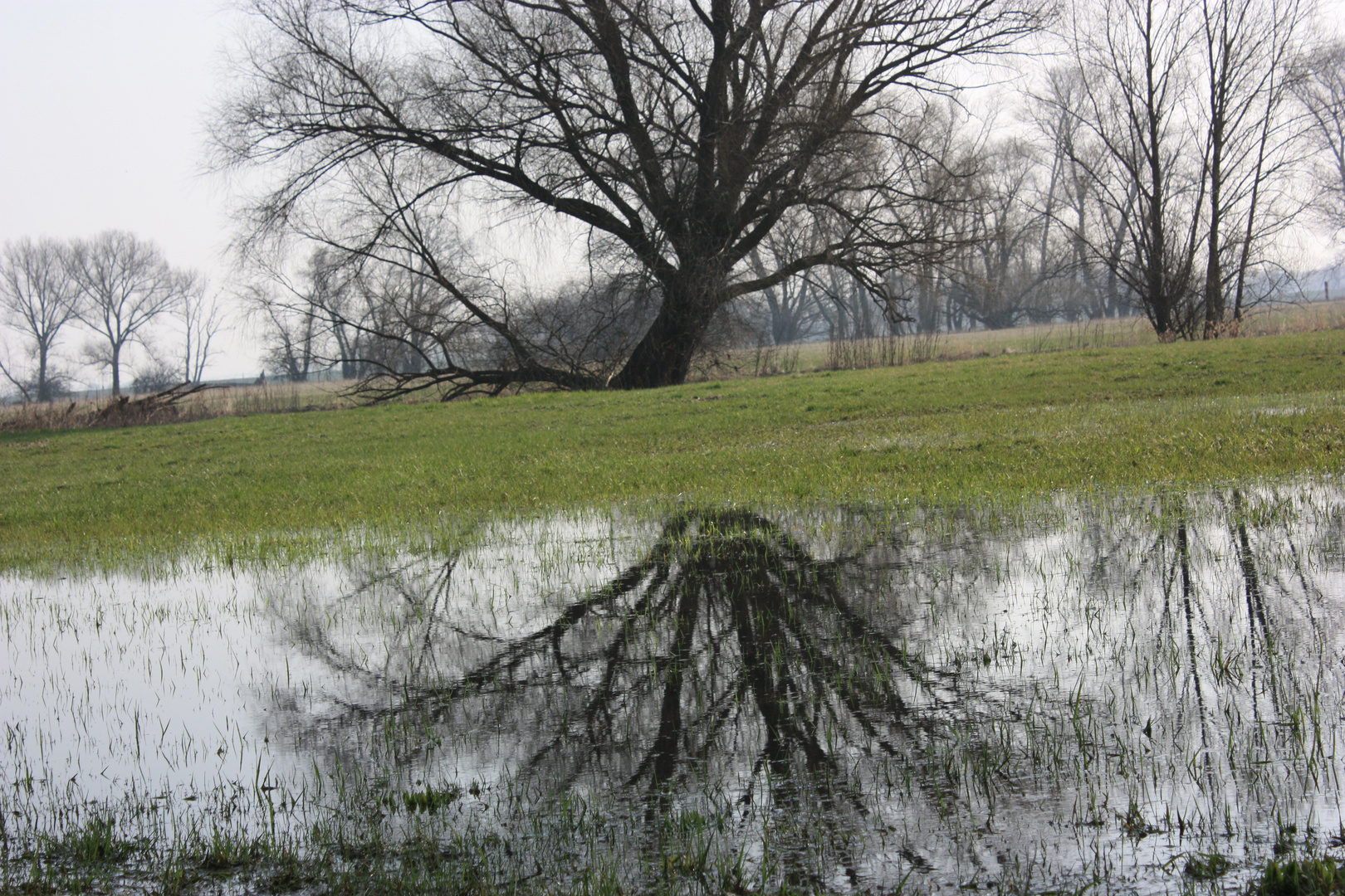 Spieglein, Spieglein an der Wand...