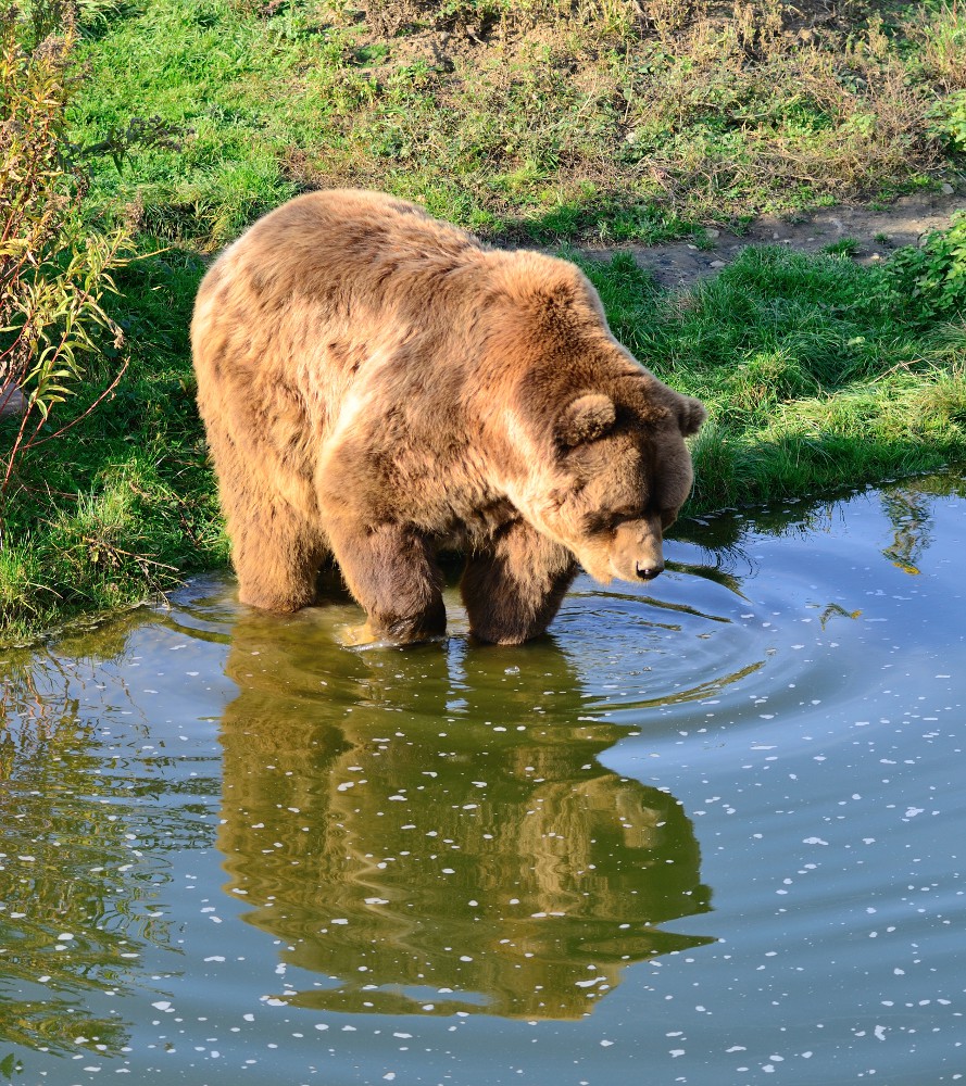 Spieglein Spieglein an der Wand ....