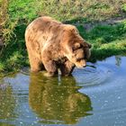 Spieglein Spieglein an der Wand ....