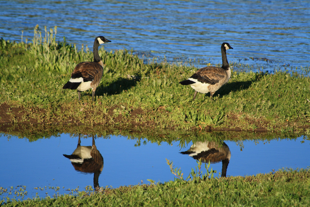 Spieglein, Spieglein an der Wand....