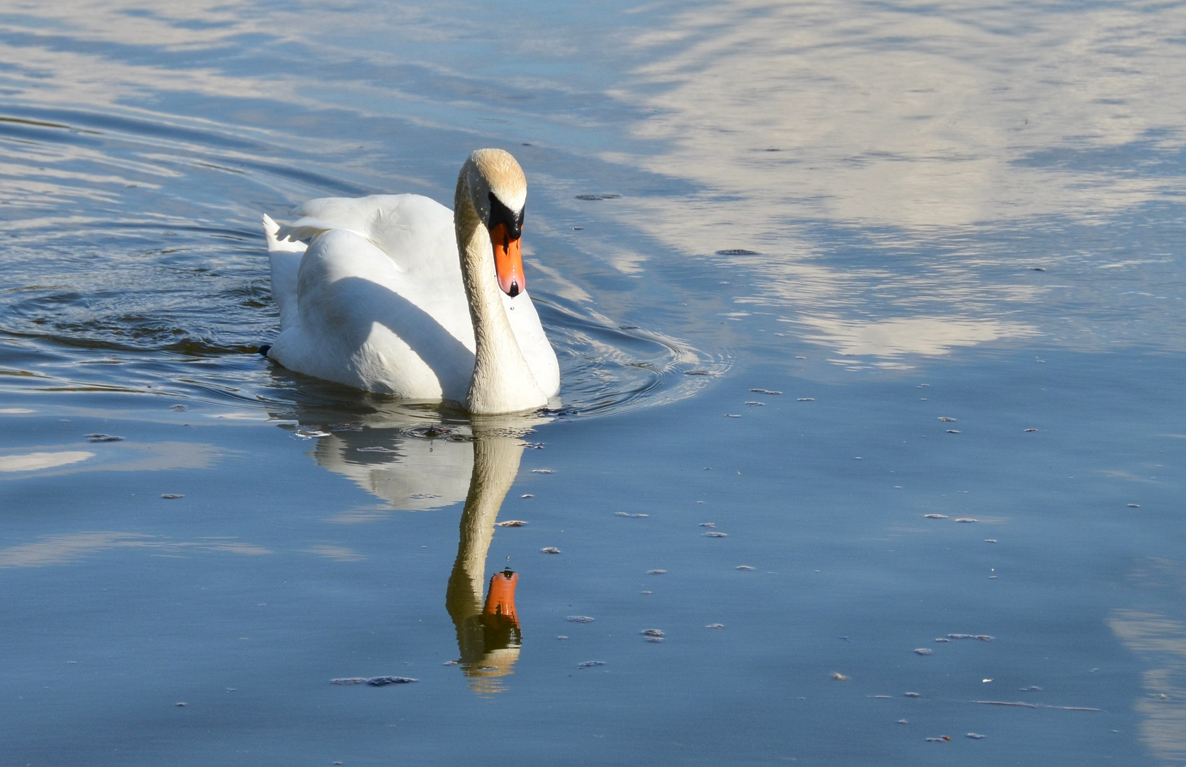 Spieglein Spieglein an der Wand... 