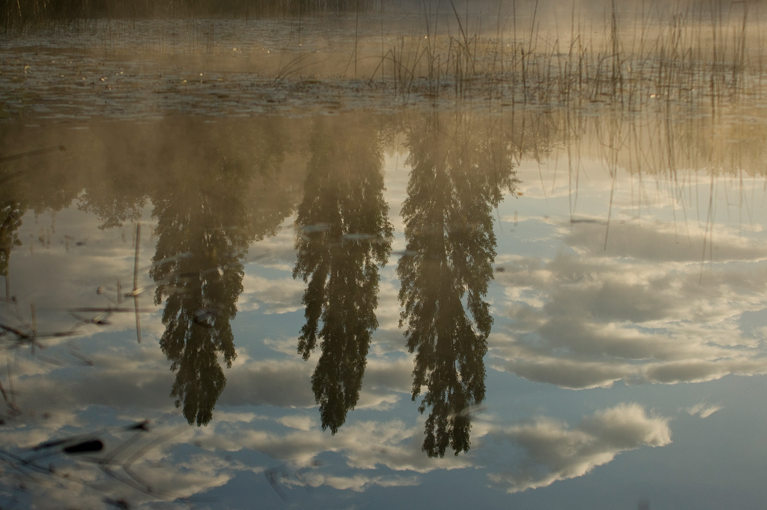 Spieglein, spieglein an der Wand........