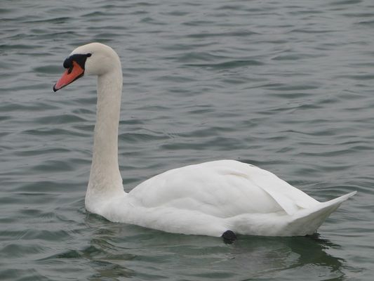 Spieglein, Spieglein an der Wand..........