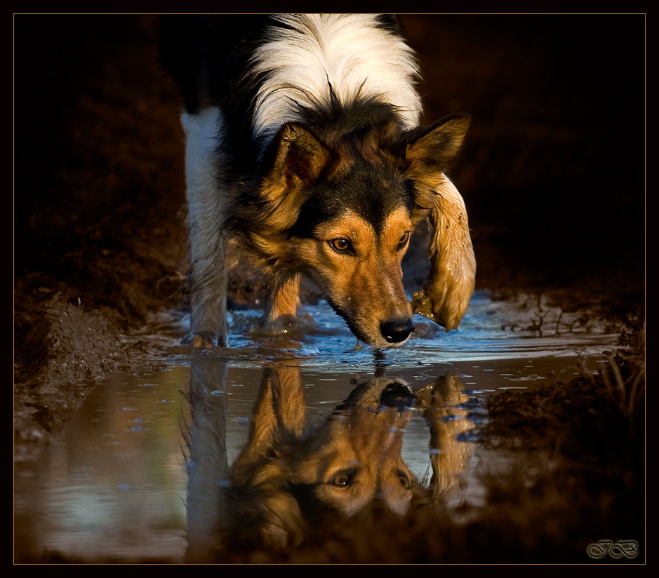 Spieglein Spieglein an der Wand...