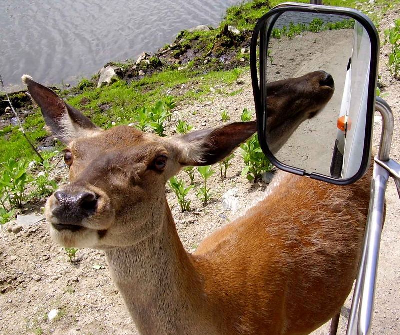 spieglein... spieglein... an der wand (am auto)