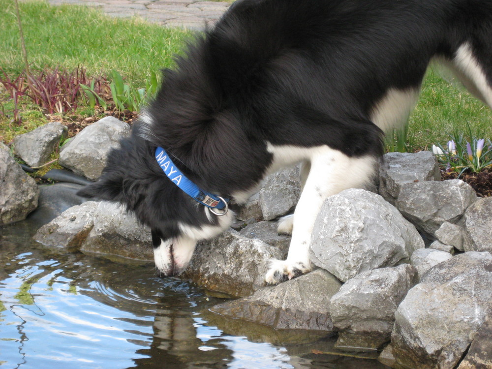 Spieglein, Spieglein an der Wand....