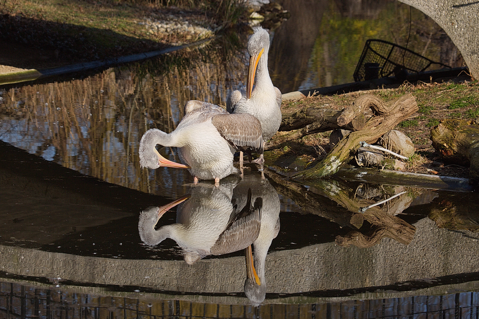 Spieglein, Spieglein an der Wand....