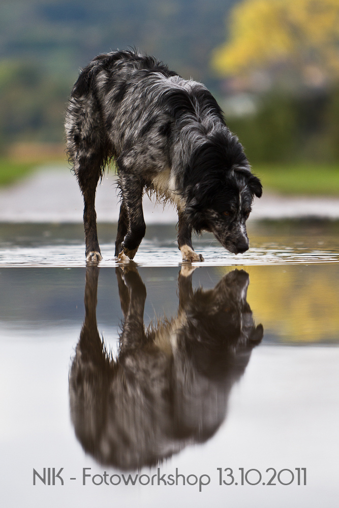 Spieglein, Spieglein an der Wand ...