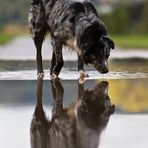 Spieglein, Spieglein an der Wand ...