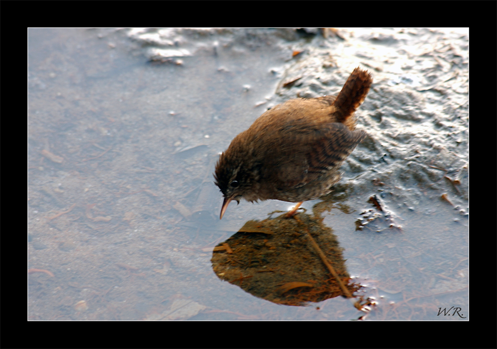 Spieglein Spieglein an der Wand, wer ist der kleinste im ganzen Land ........