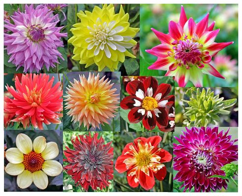 Spieglein Spieglein an der Wand, wer ist die Schönste im ganzen Land?