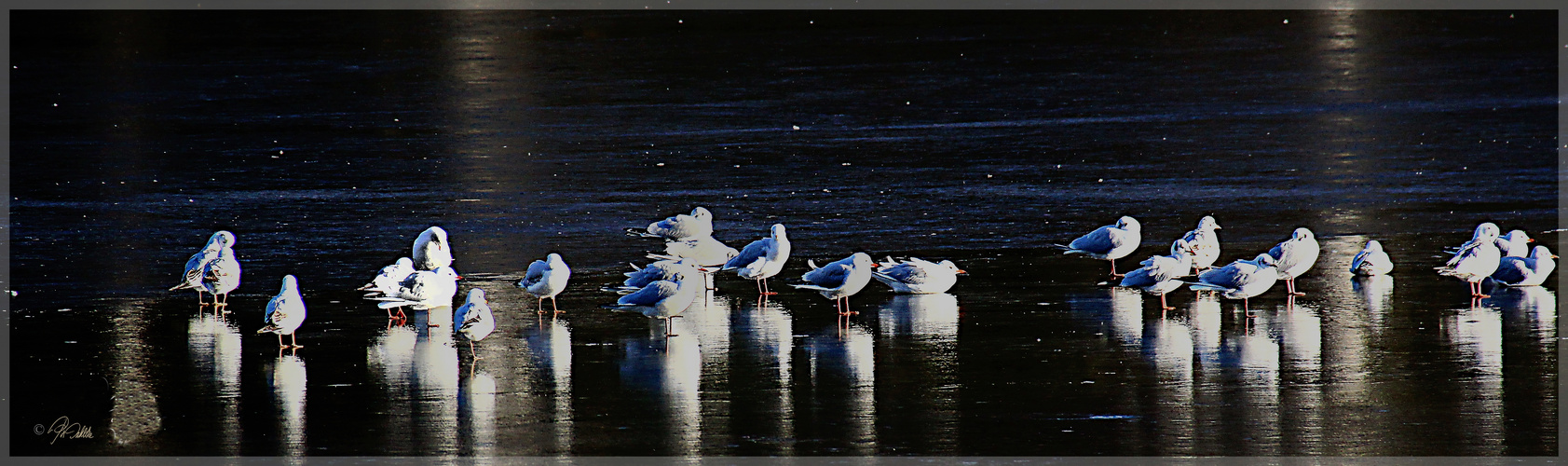 "Spieglein, Spieglein auf dem Eise"