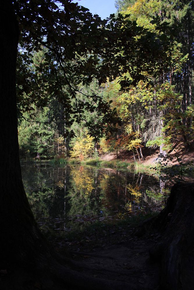 Spieglein Spieglein auf dem See