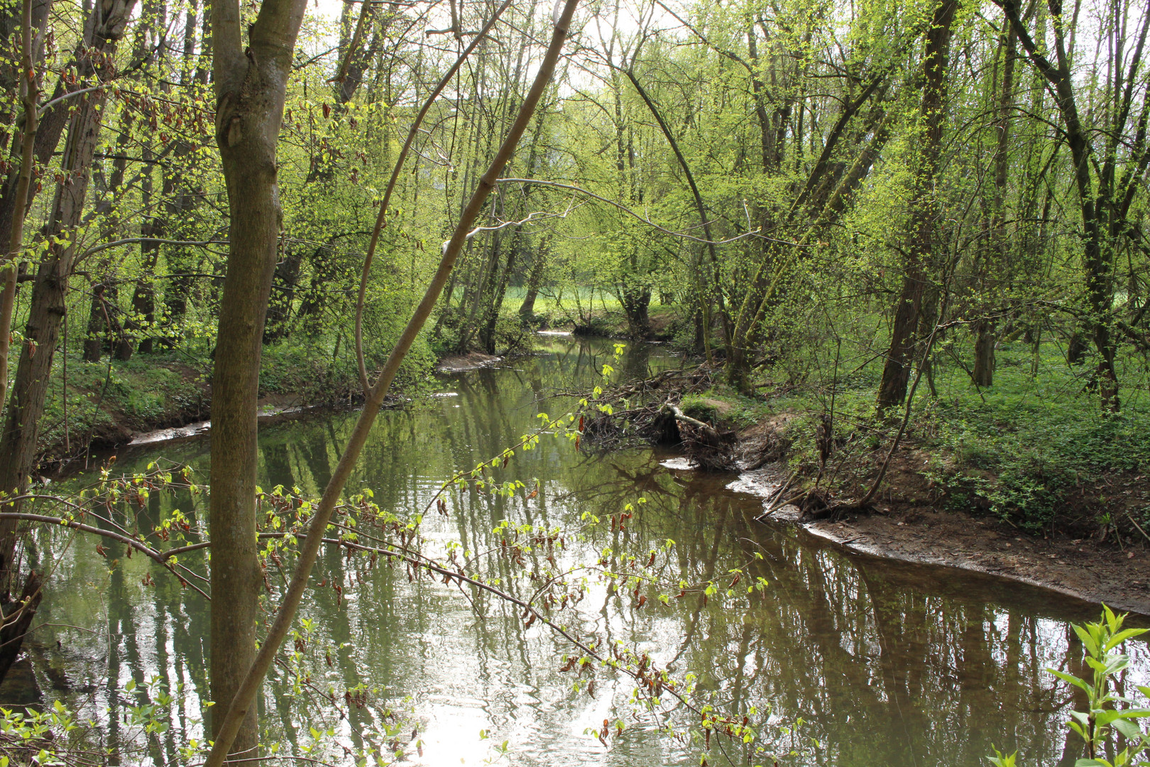 Spieglein, Spieglein - auf dem Wasser...