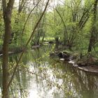 Spieglein, Spieglein - auf dem Wasser...