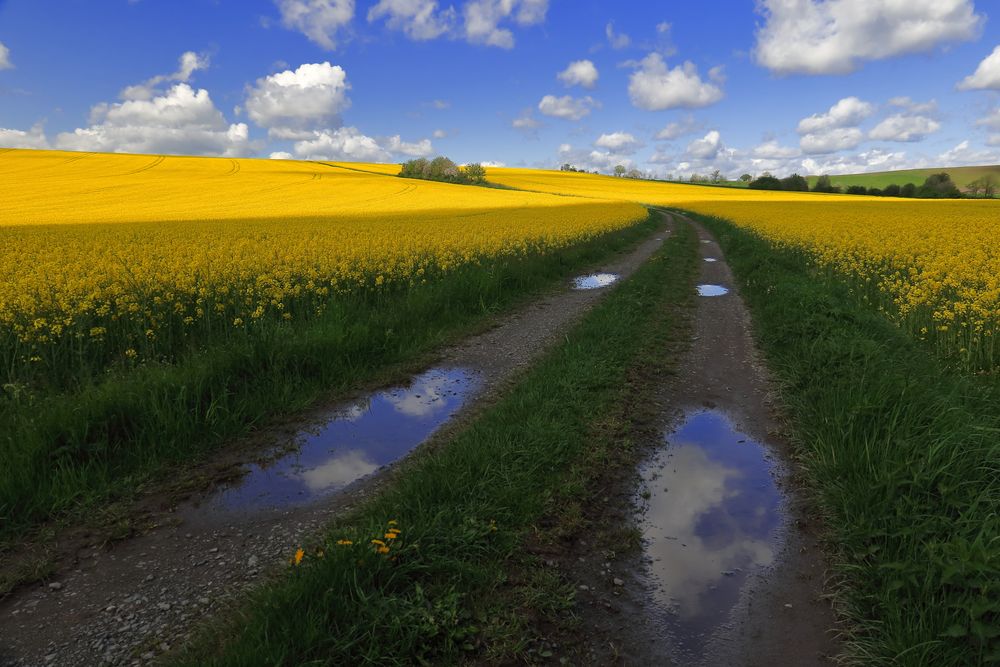 Spieglein, Spieglein auf dem Weg