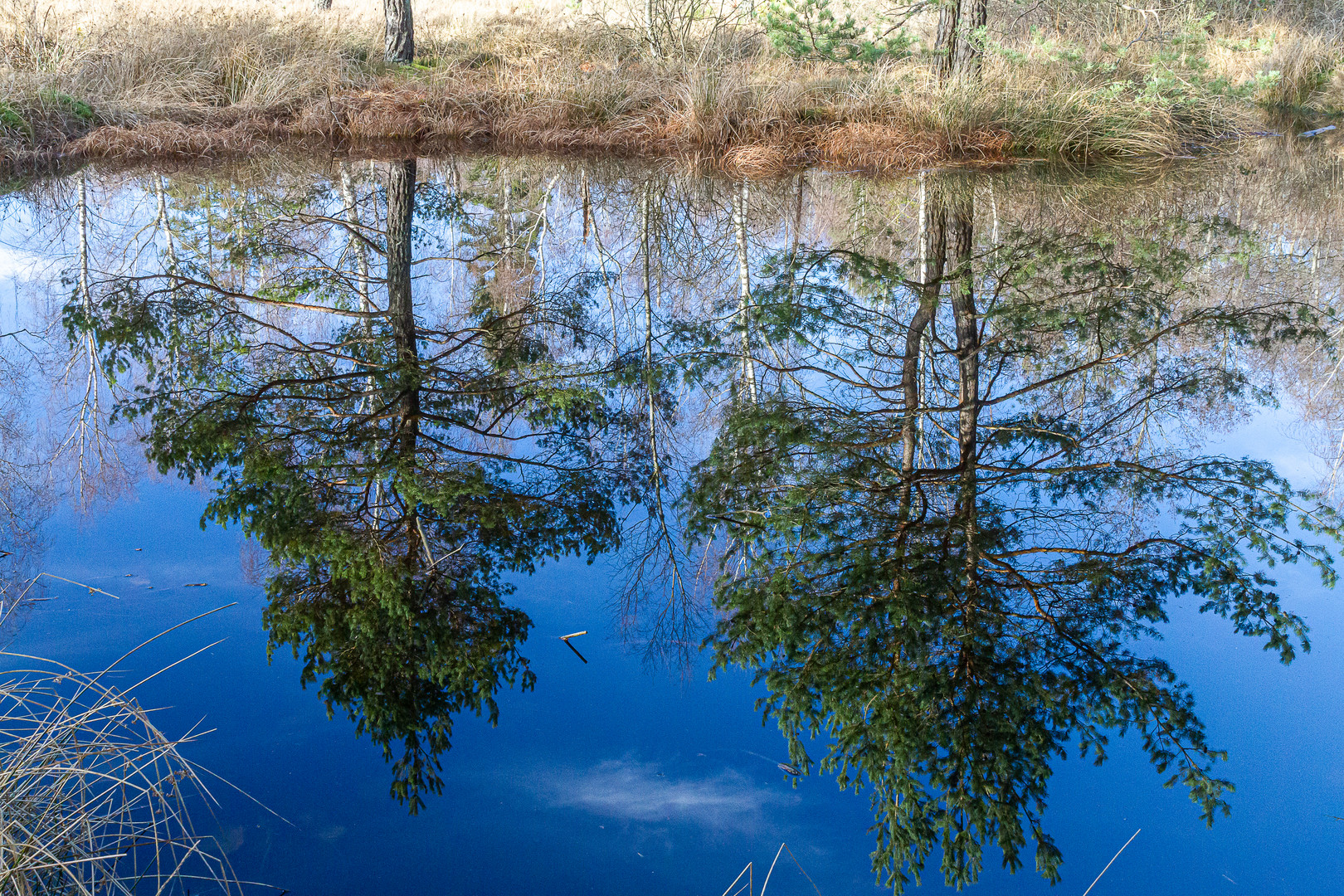 Spieglein, Spieglein, ...