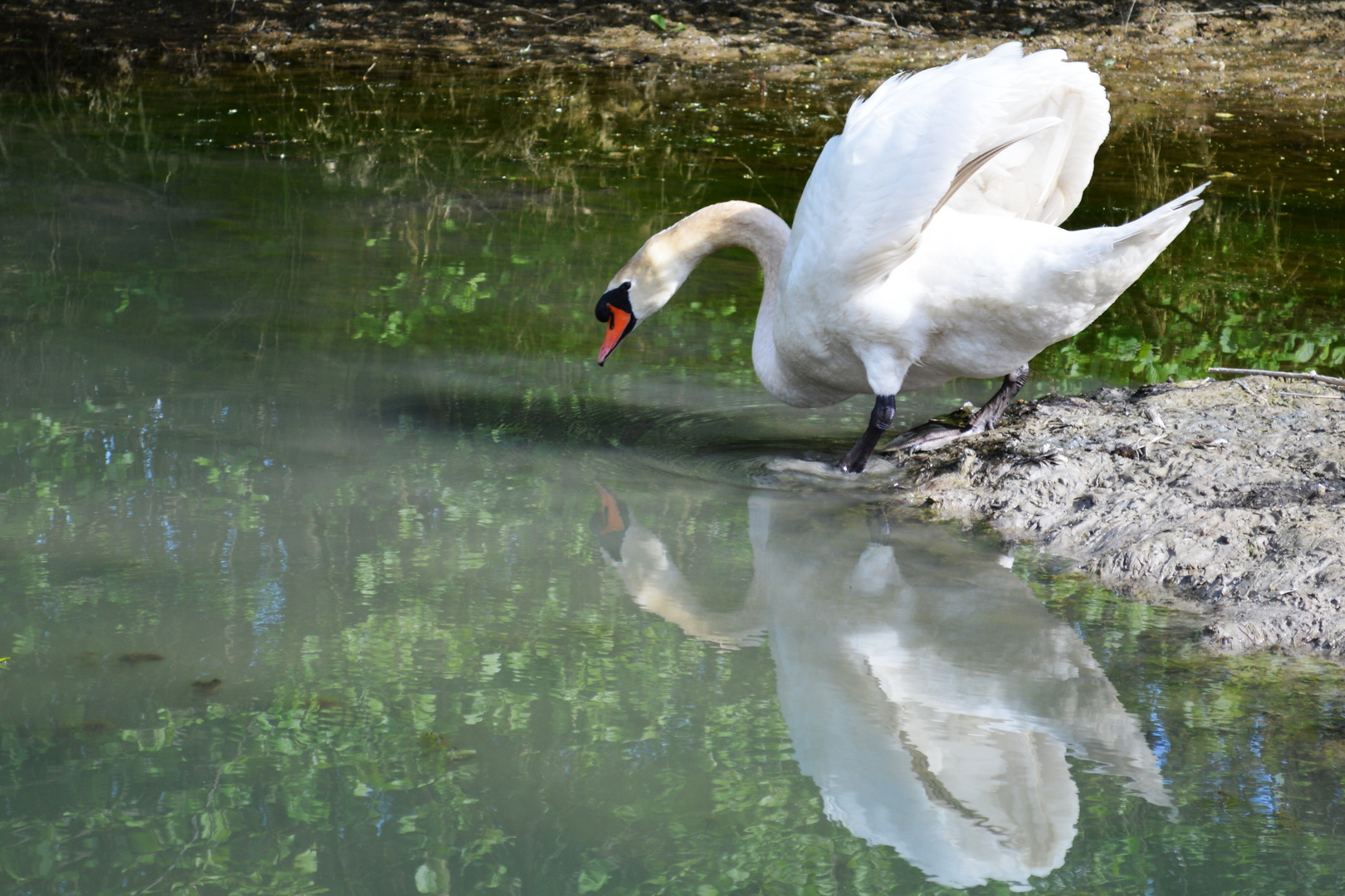 Spieglein, Spieglein....