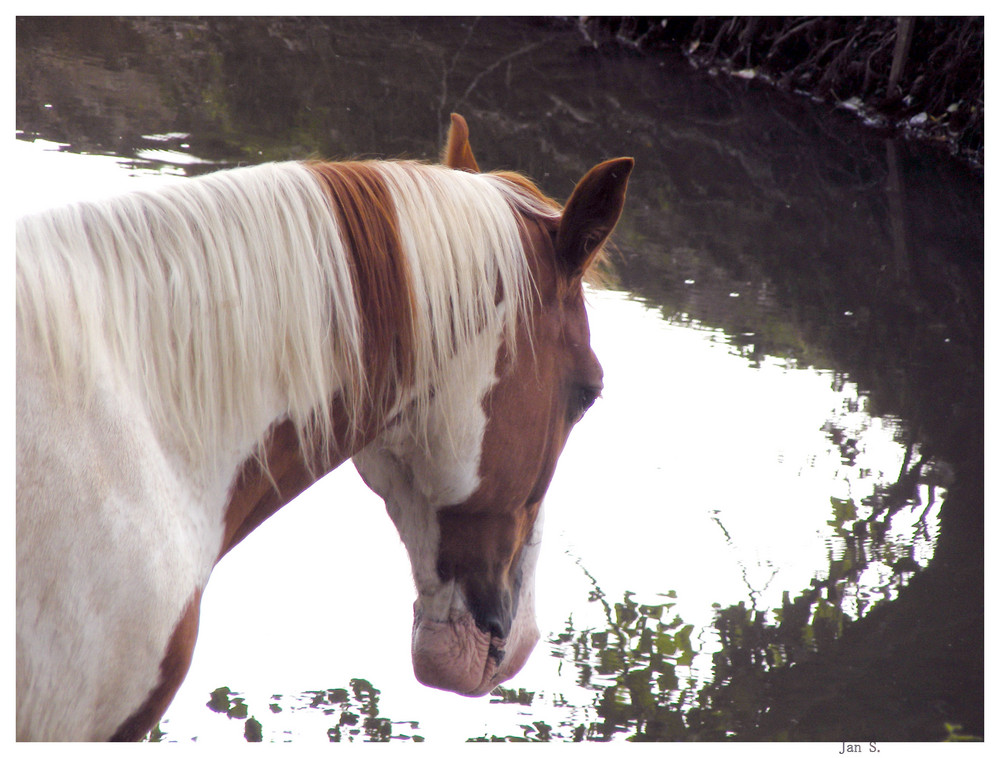 Spieglein, Spieglein...