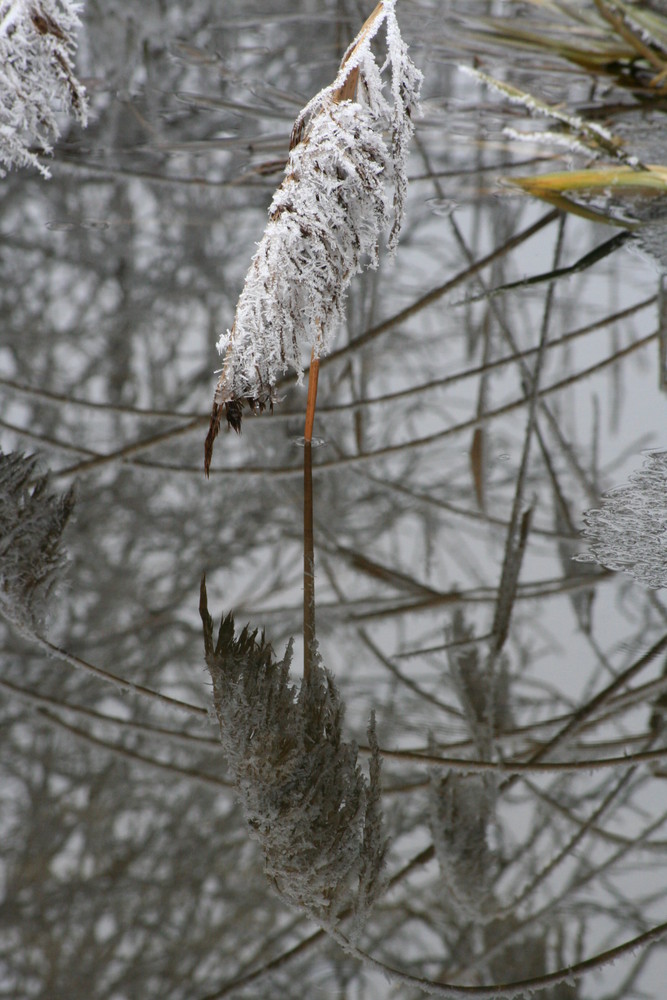 Spieglein, Spieglein...