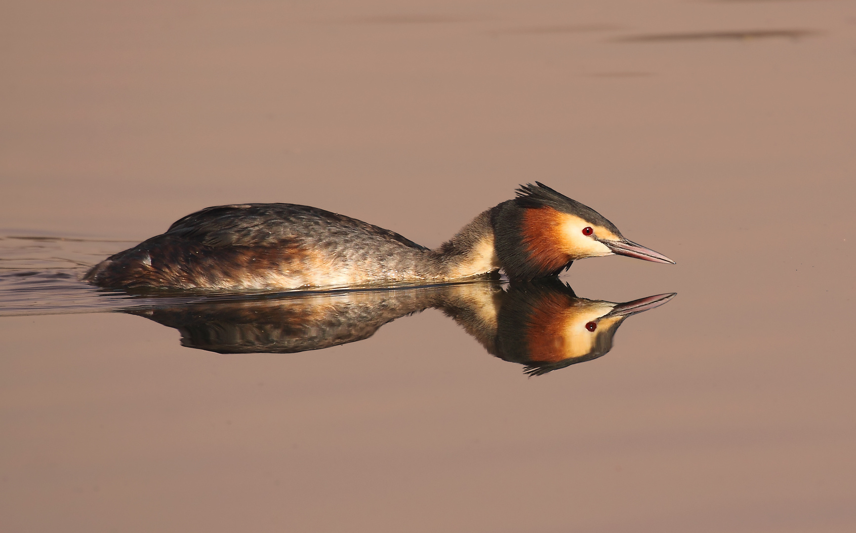 Spieglein, Spieglein