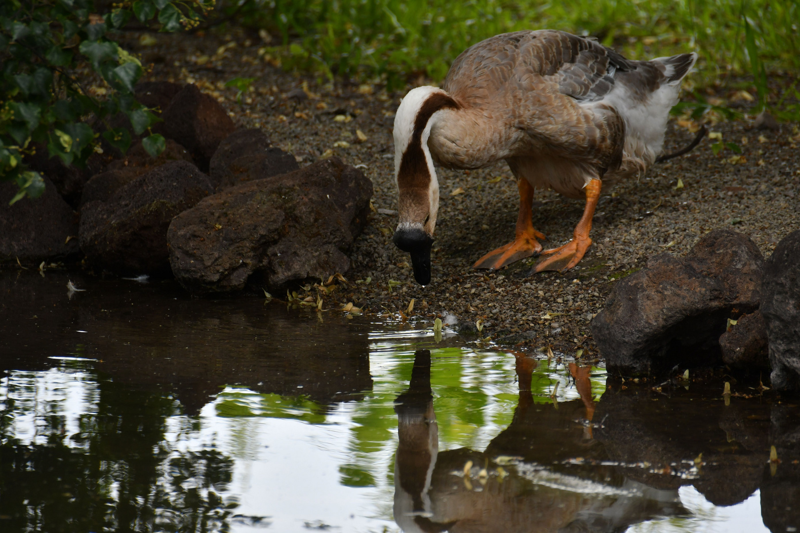 Spieglein Spieglein...