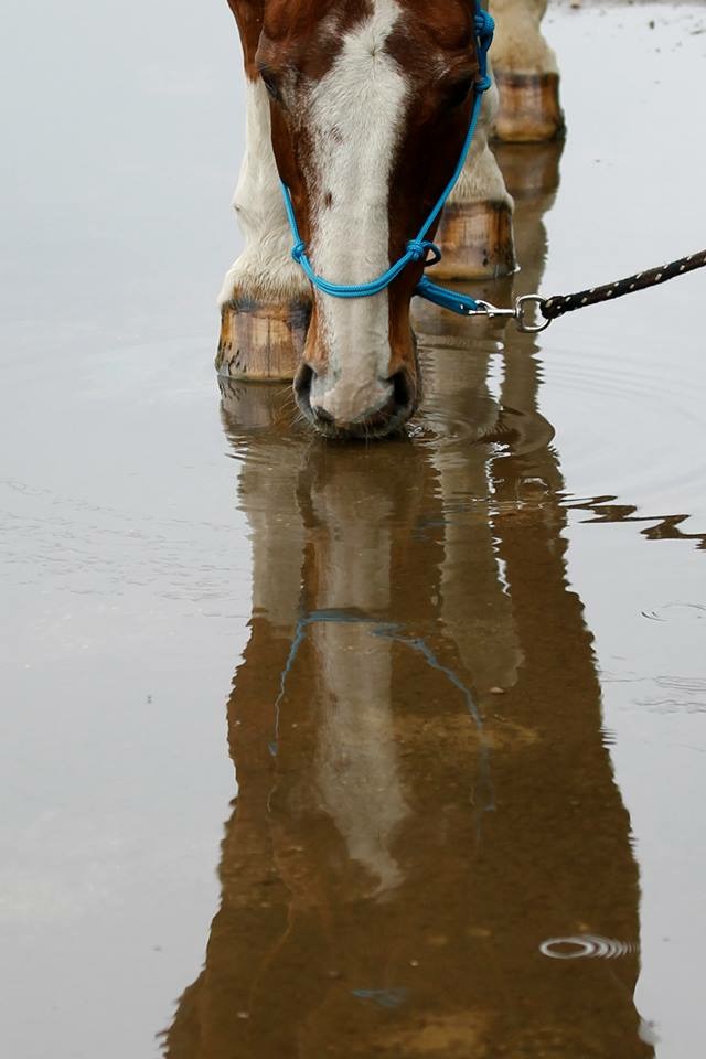 Spieglein, Spieglein ...