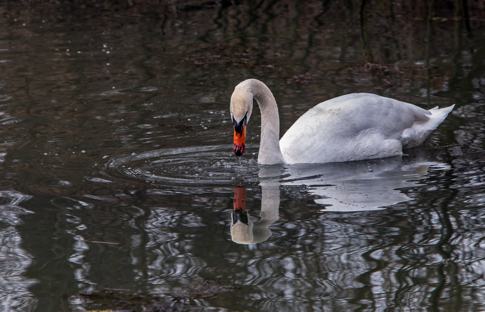 Spieglein Spieglein..