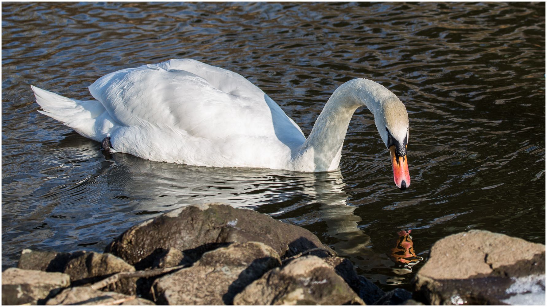 Spieglein, Spieglein...