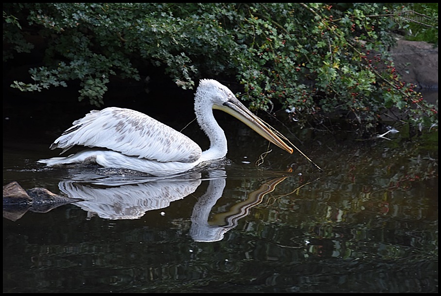 Spieglein; Spieglein...