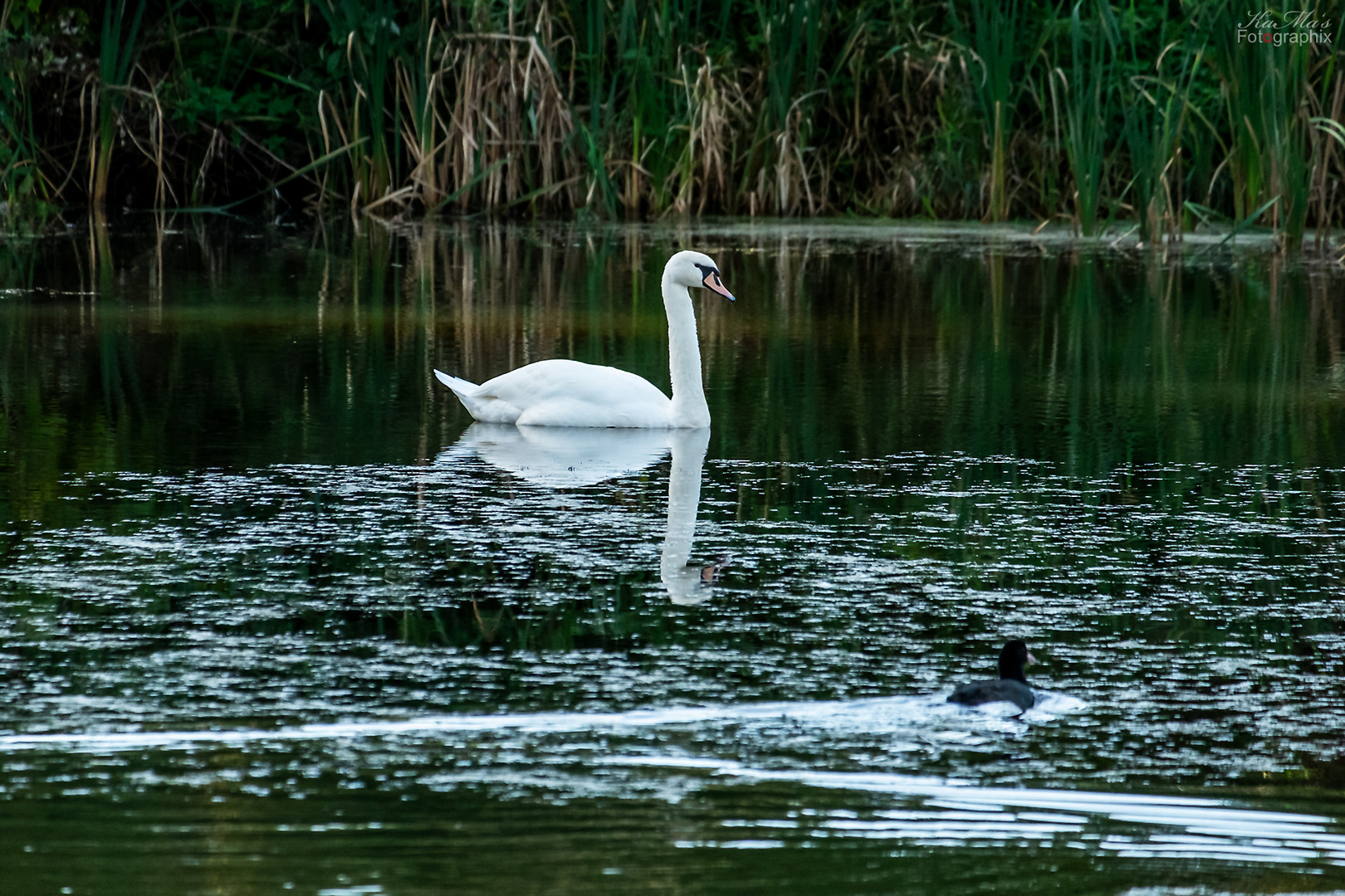 Spieglein, Spieglein....